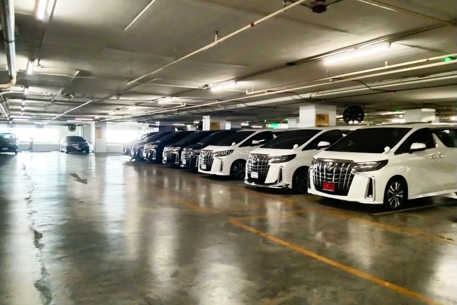 Bangkok : Alphard and Benz