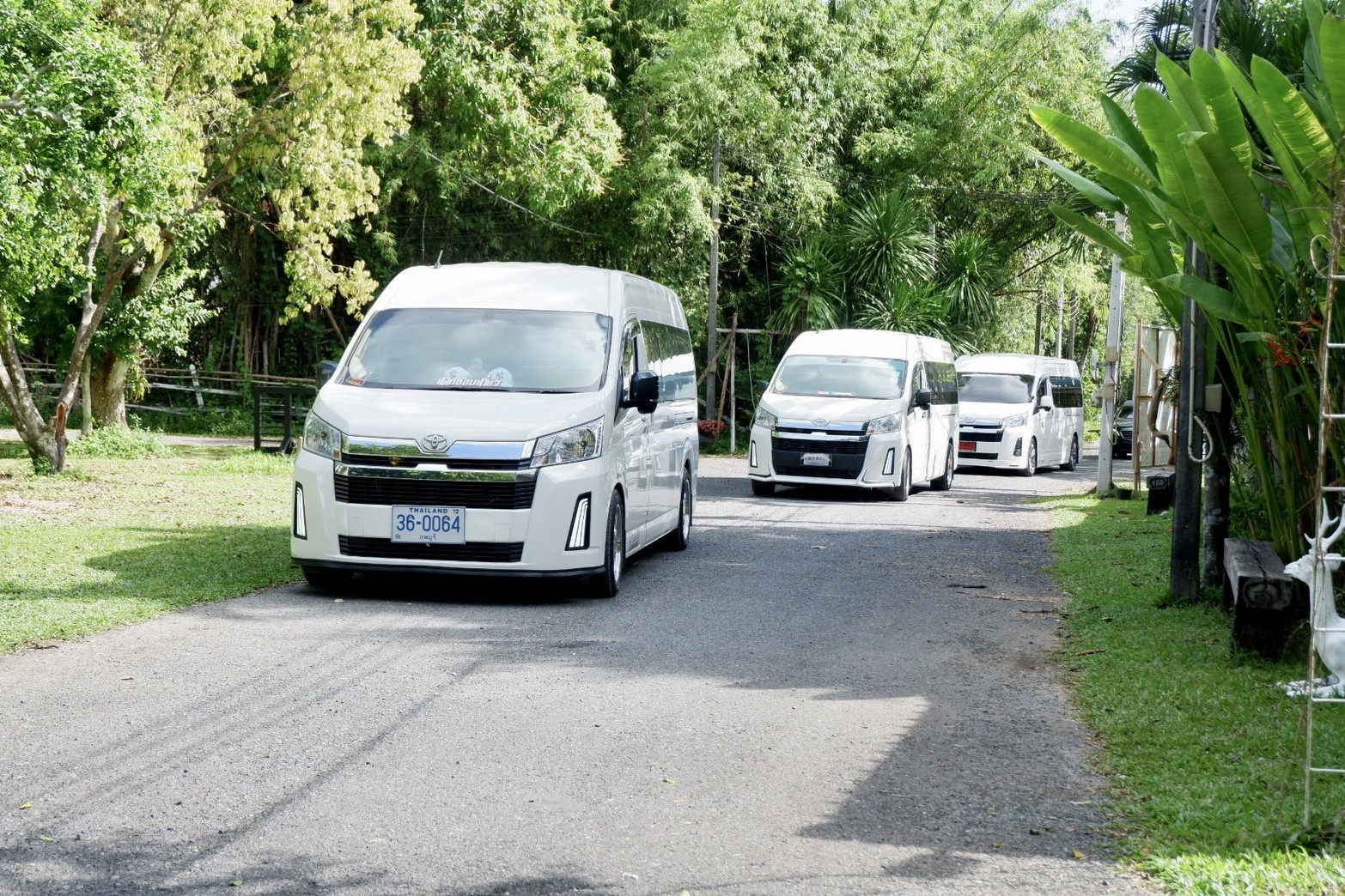 Luxury Van and Hyundai H1